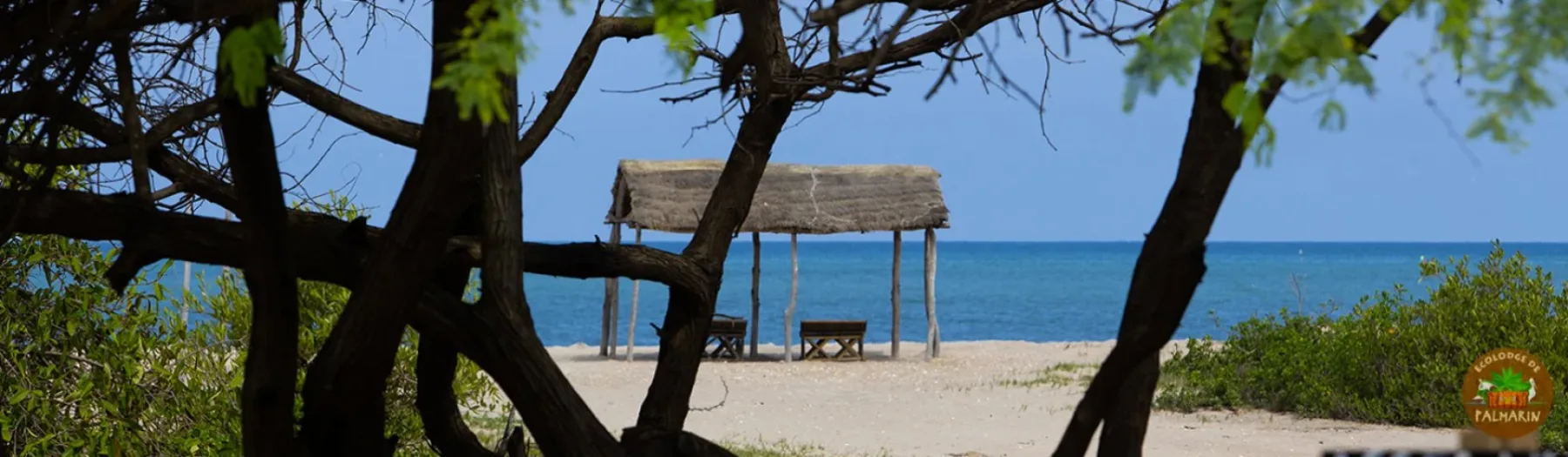 Panoramic view of the Ecolodge de Palmarin