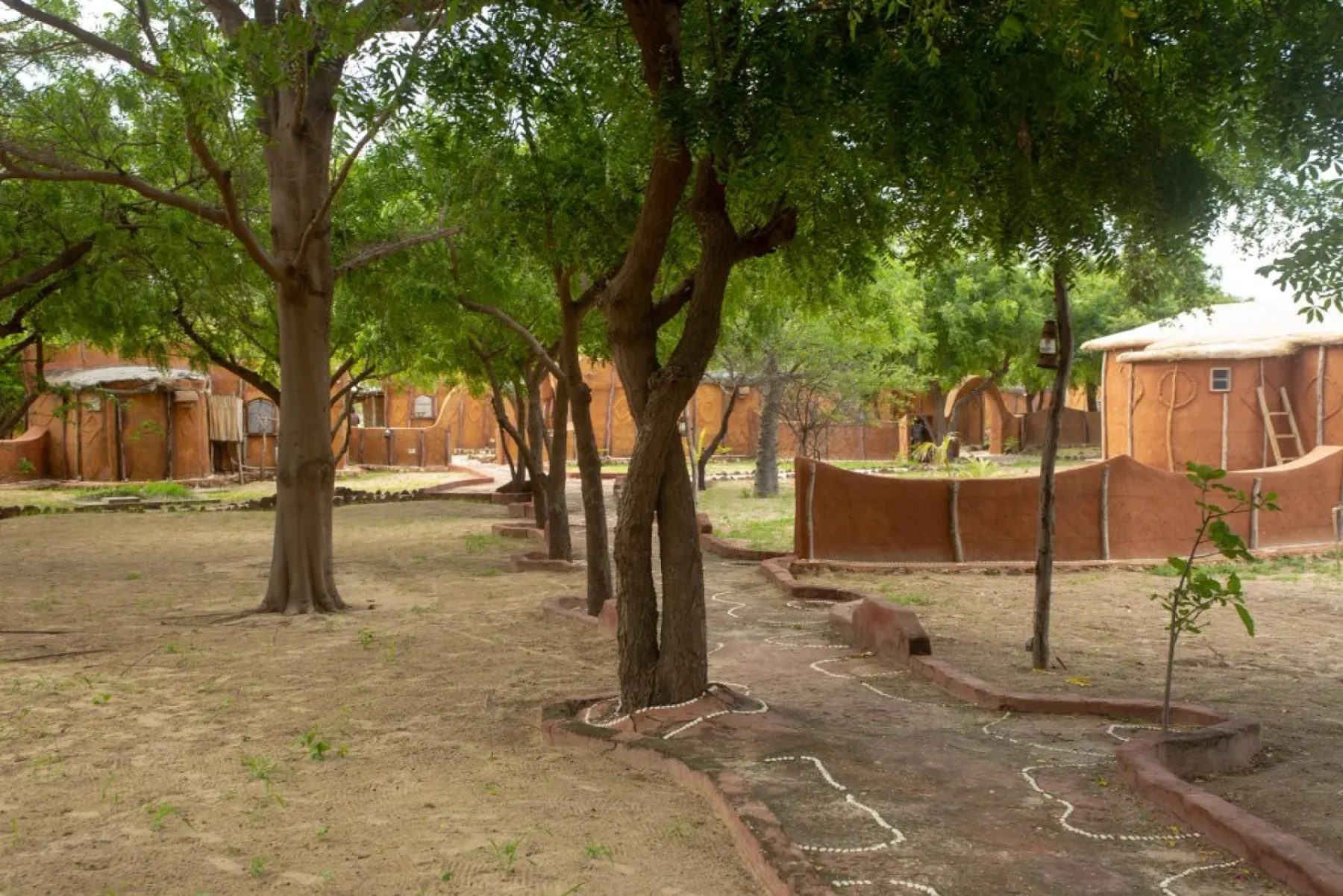 Photo of the Ecolodge de Palmarin