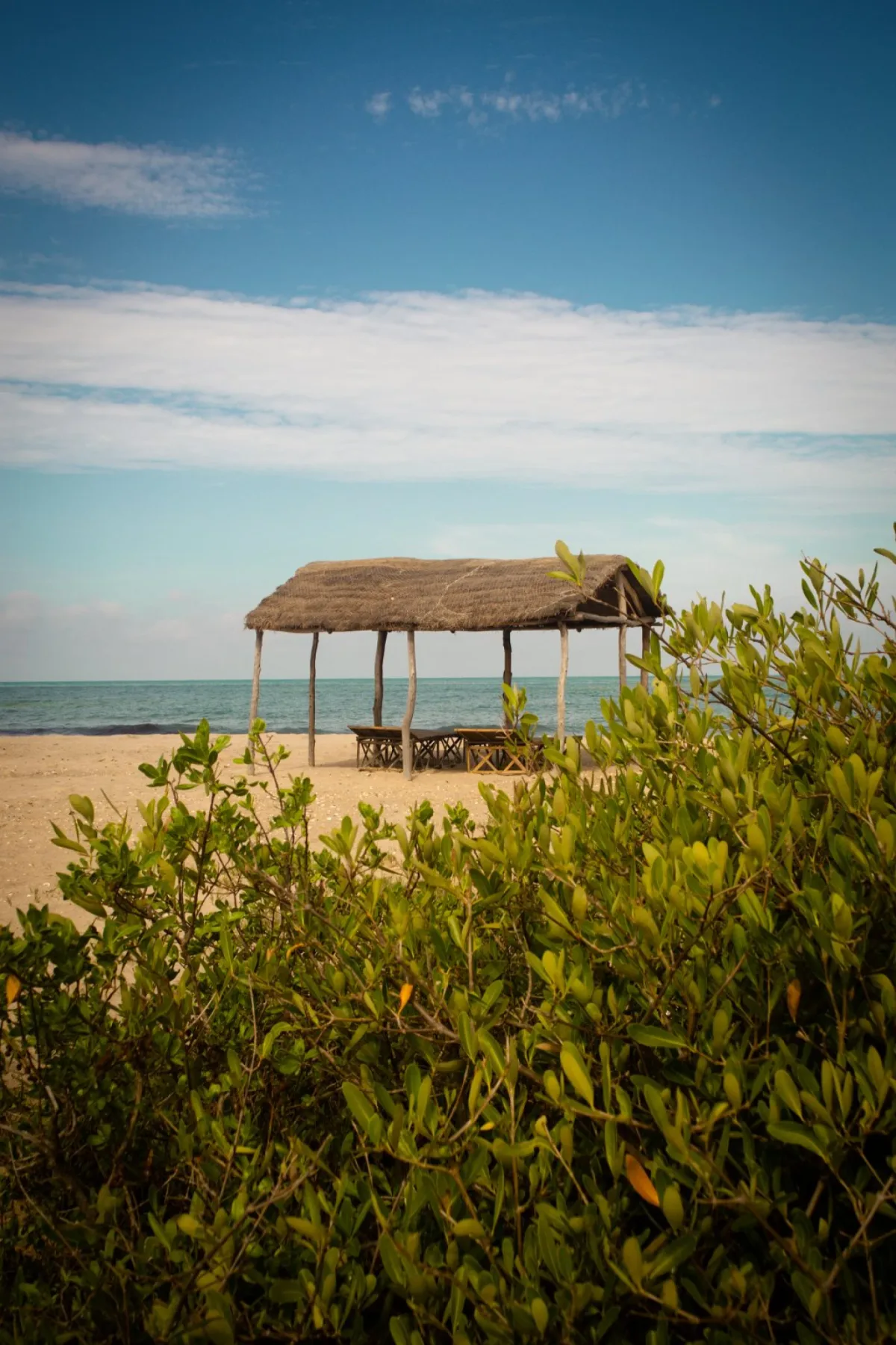Photo of the Ecolodge de Palmarin