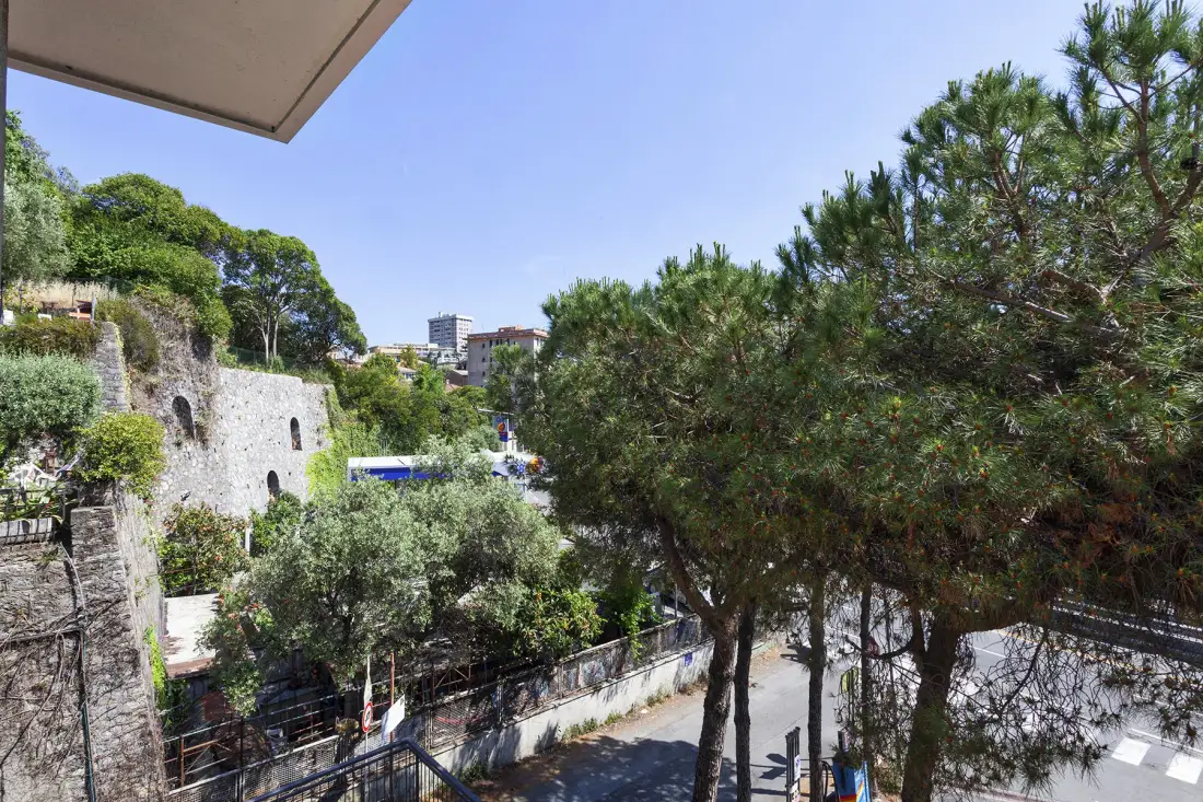 A tree-lined street runs beside a stone retaining wall under a clear sky.