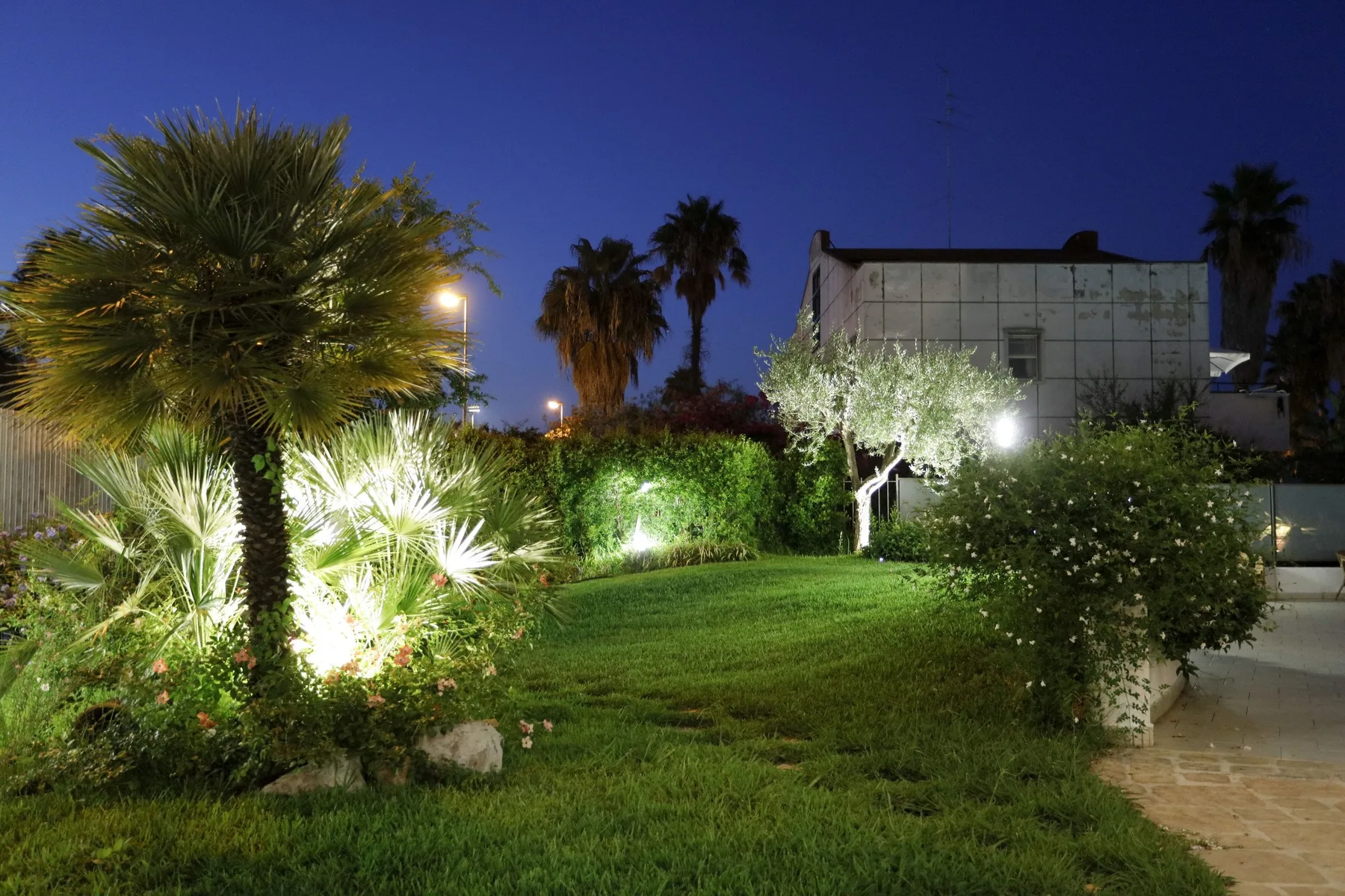 Un jardín paisajístico al anochecer con palmeras, arbustos y césped.