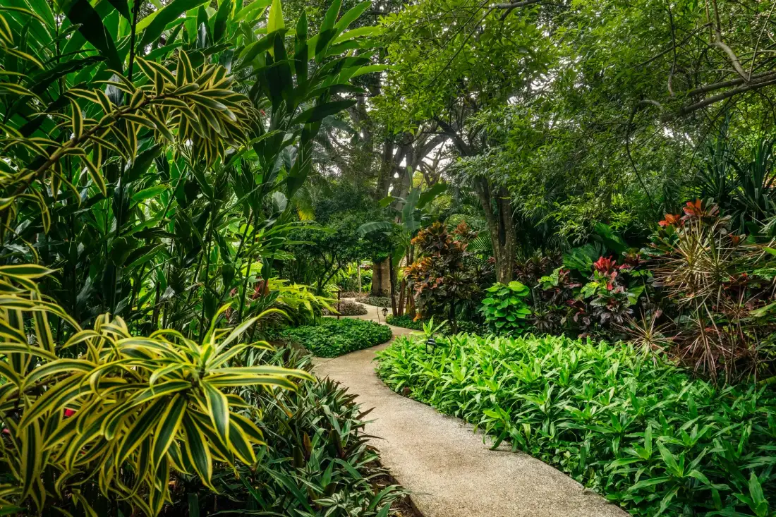 Jardín