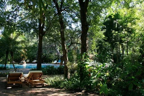 Jardín