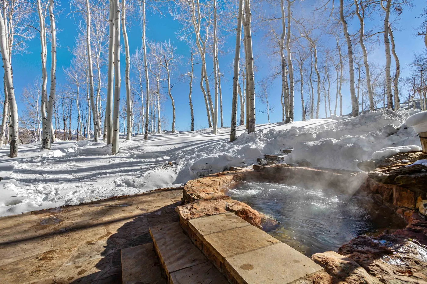Una tina exterior humeante está junto a un bosque nevado de árboles sin hojas.