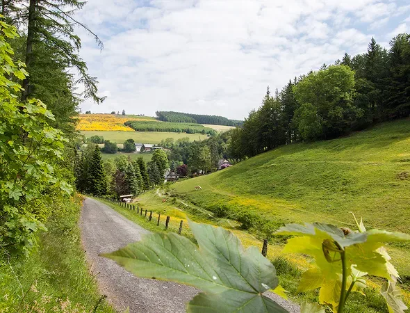 Vista del valle desde Gut Vorwald