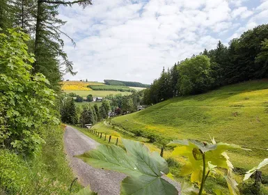 Alrededores de Sauerland