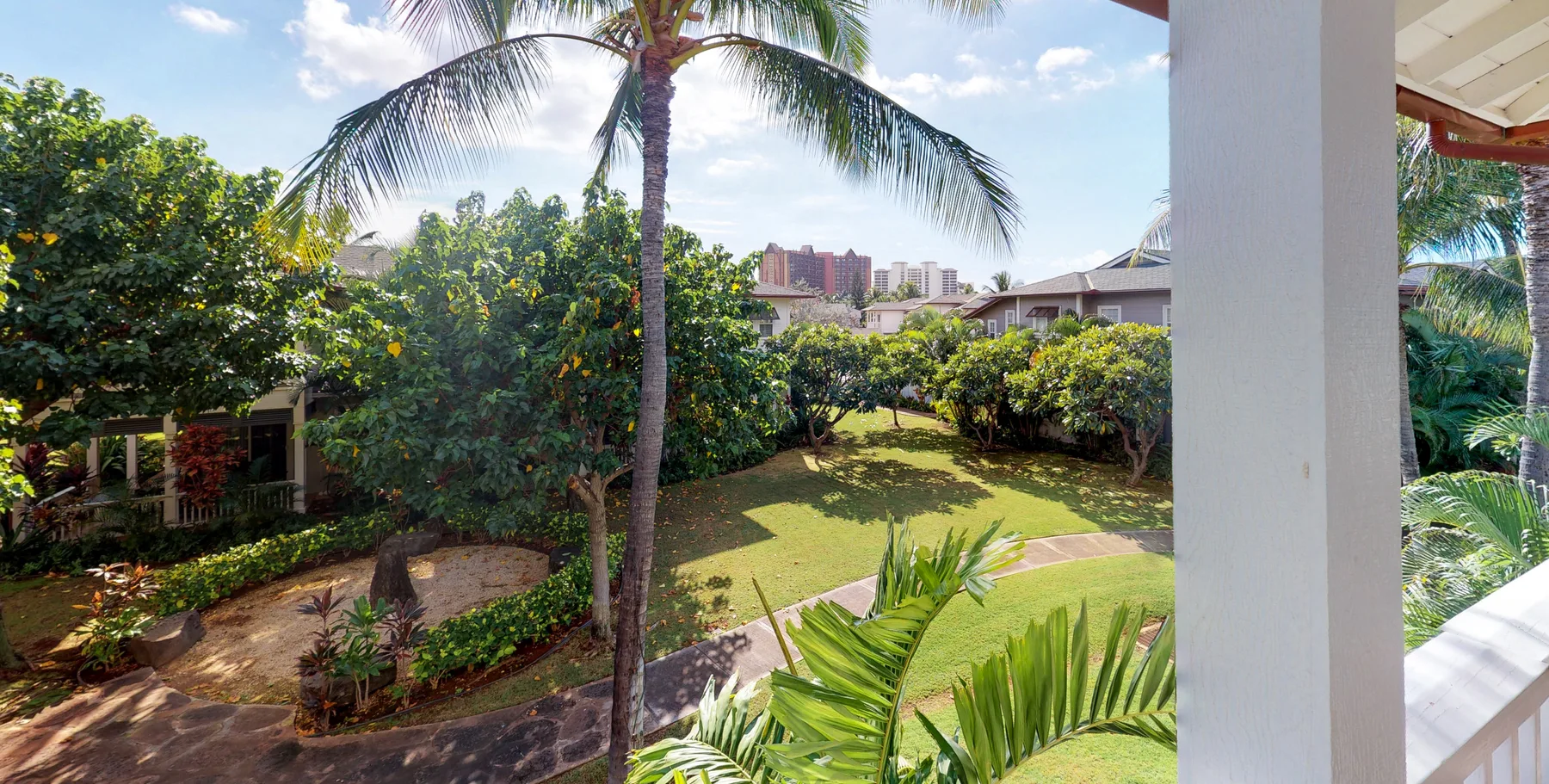 Un jardín con una palmera y arbustos frondosos.