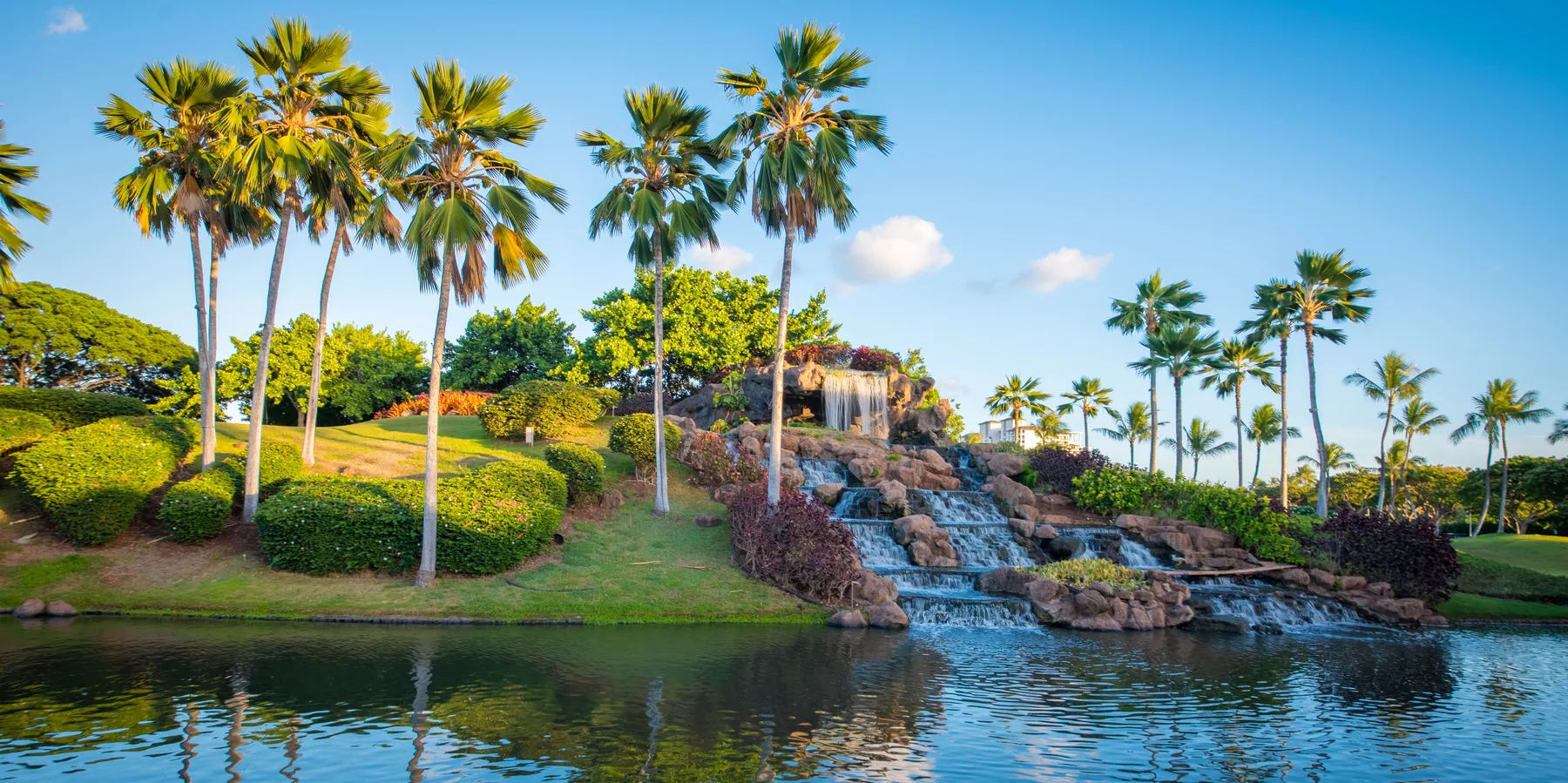 Un jardín tropical con palmeras y una cascada junto a un estanque.