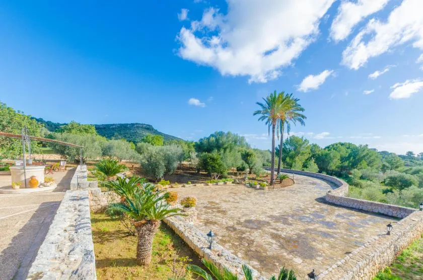 Una terraza exterior ajardinada con senderos de piedra y palmeras bajo un cielo azul.