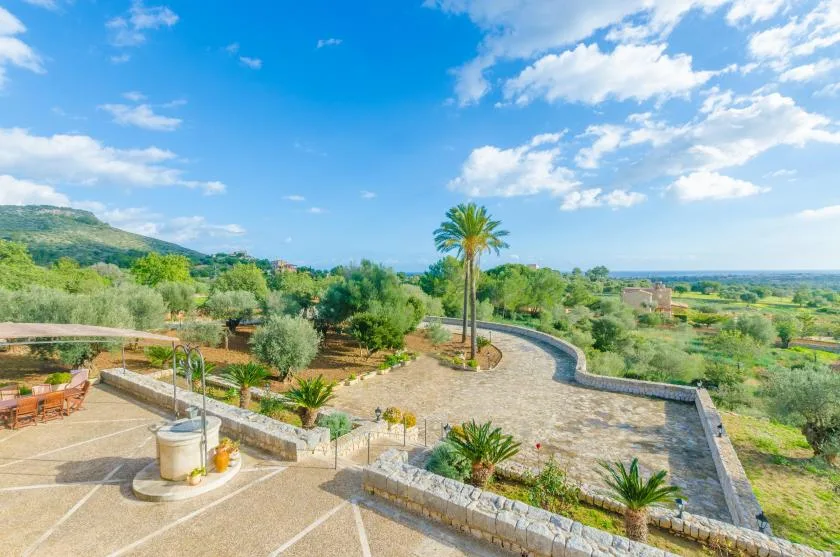 Un patio ajardinado al aire libre con un sendero curvo de piedra y palmeras.