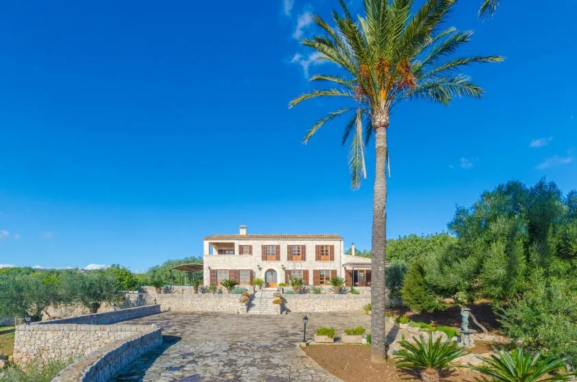 Un patio empedrado conduce a una casa de dos plantas bajo una palmera.