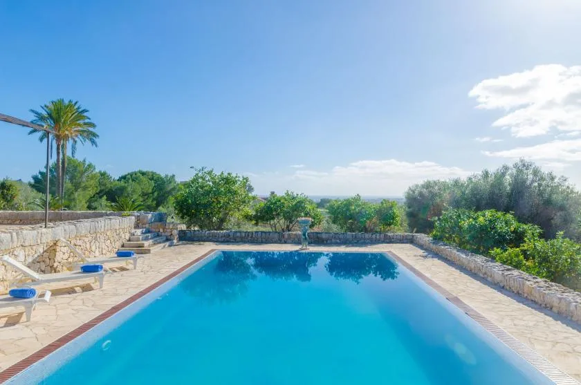 Una piscina al aire libre está rodeada de pavimento de piedra y vegetación.