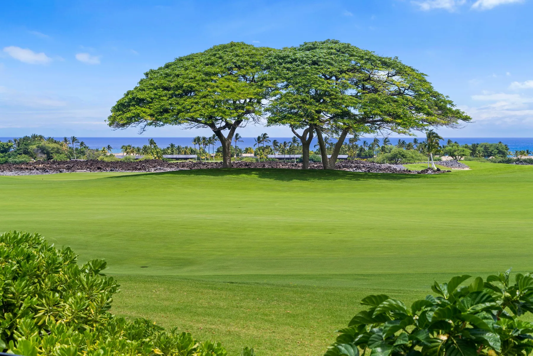 A broad green lawn with spreading trees and the ocean visible in the distance.