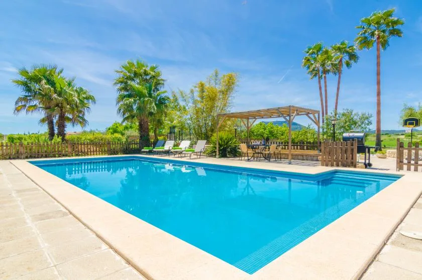 An outdoor swimming pool with lounge seating, palm trees, and a shaded pergola.