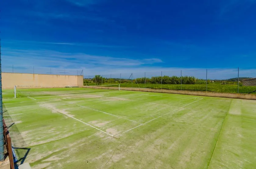 An outdoor sports court with faded green playing lines and fencing.