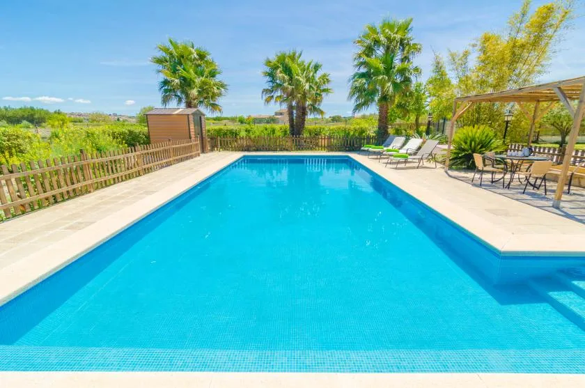 An outdoor swimming pool bordered by a paved deck and palm trees.