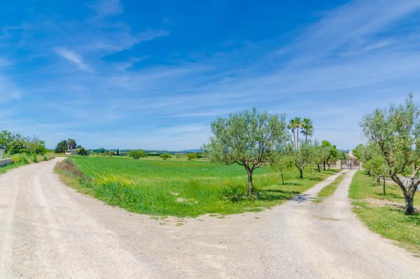 A rural dirt road runs beside green fields and scattered trees under a blue sky.