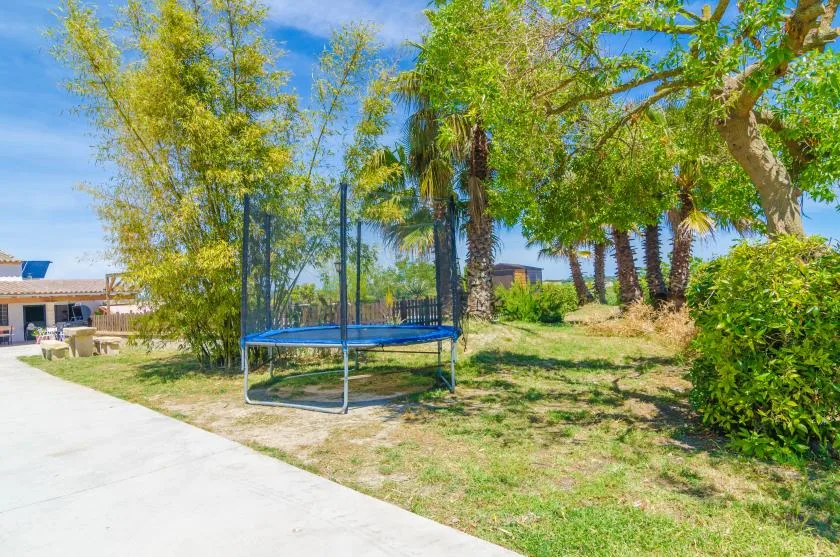 A trampoline sits in a grassy yard beneath leafy trees.