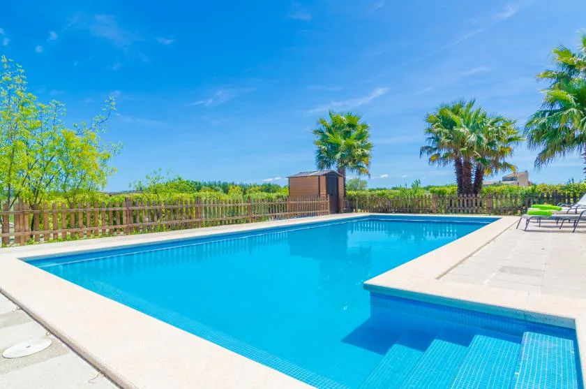 An outdoor swimming pool with a paved deck and palm trees.