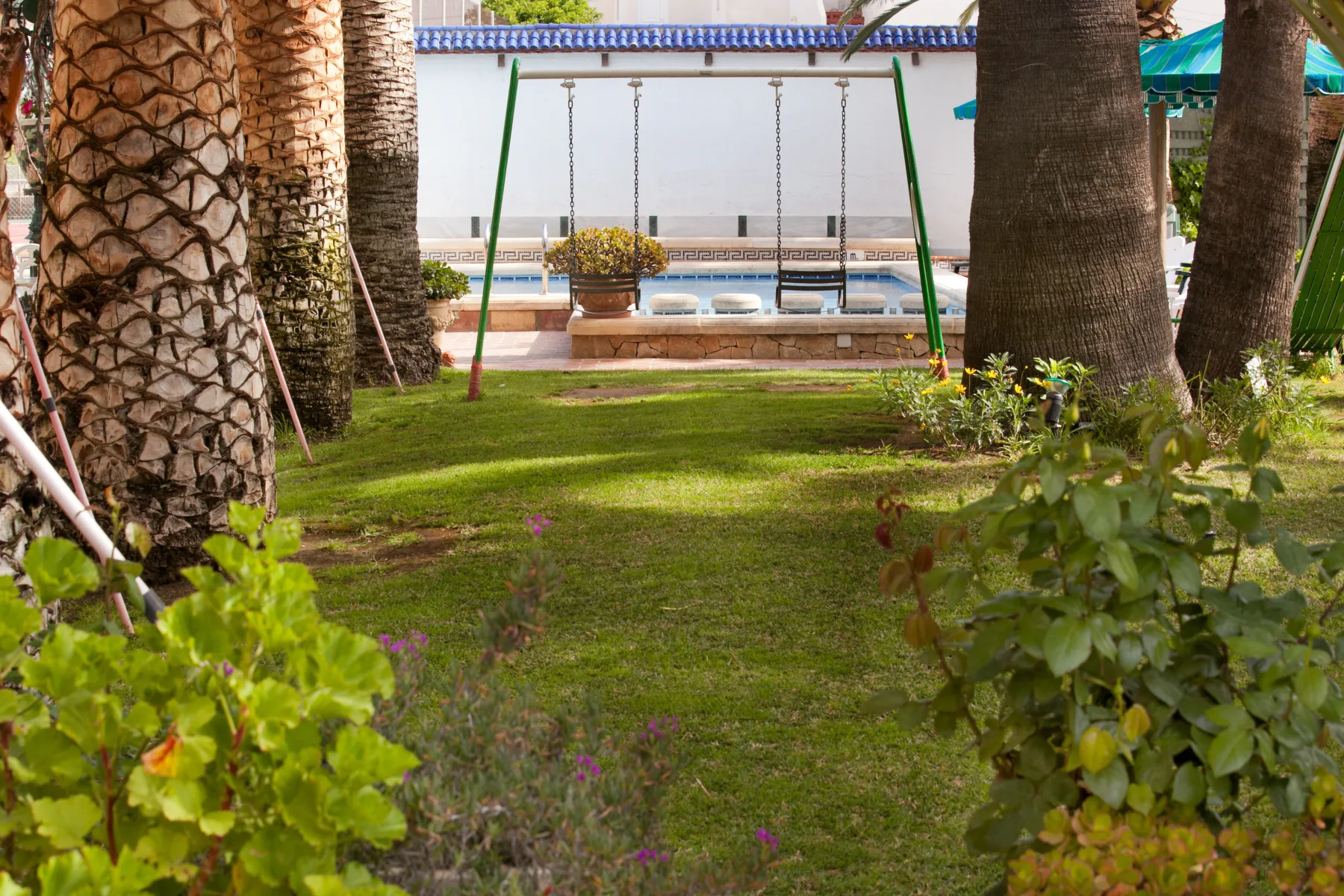 Hotel Rosa property photo