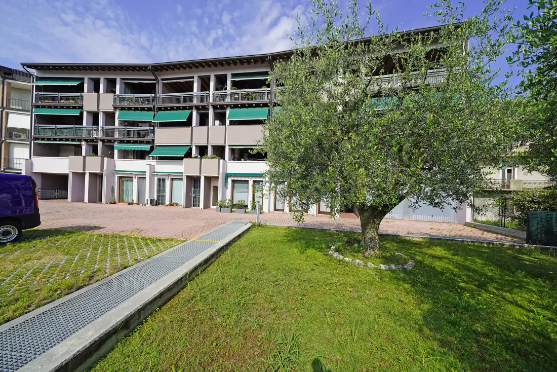 Un edificio de varias plantas se alza detrás de un patio con césped y un árbol.