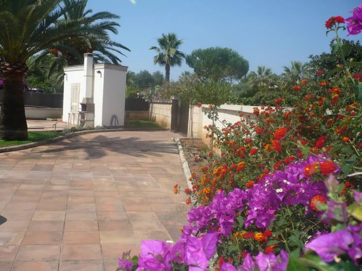 Un camino pavimentado bordea plantas con flores de colores y palmeras.