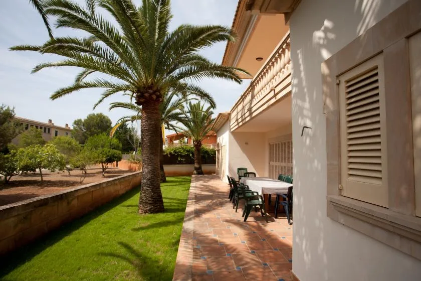 Un patio soleado junto a un césped verde, con asientos al aire libre y palmeras.