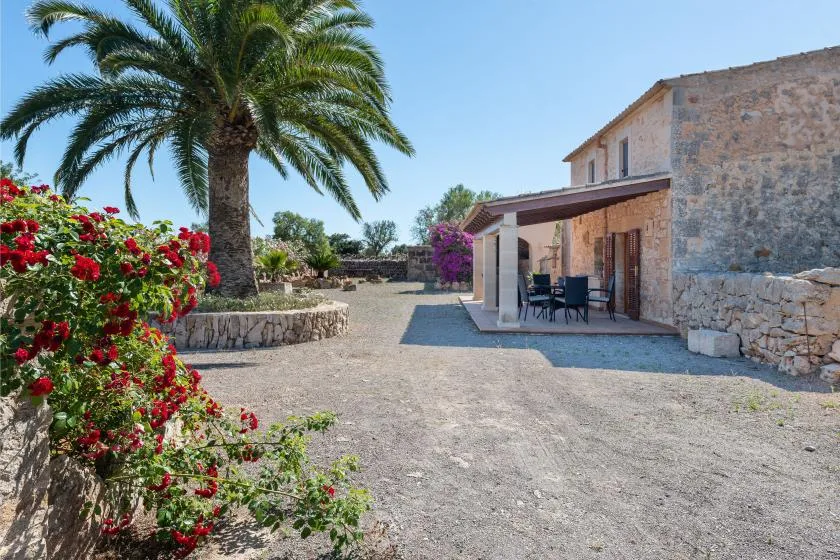 Un edificio de piedra da a un patio soleado con una palmera y arbustos en flor.