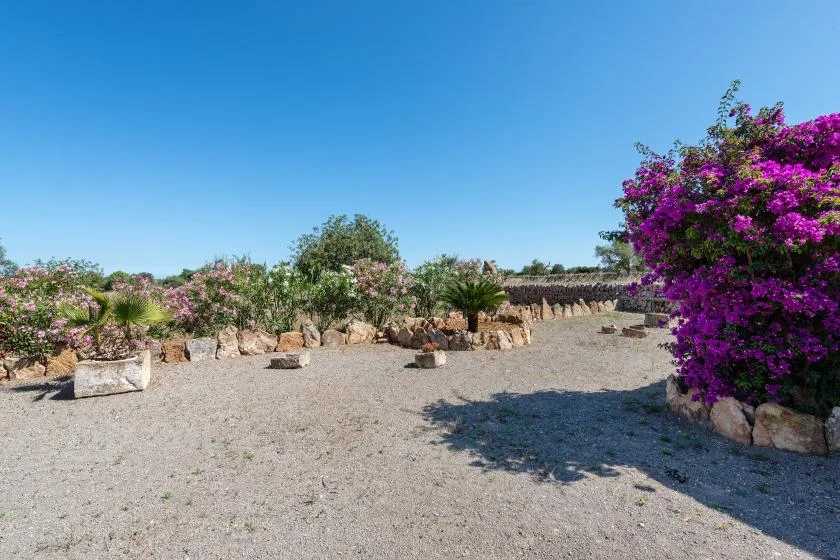 Un jardín de grava con arbustos en flor y un cielo azul despejado.