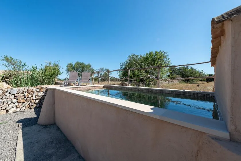 Una piscina al aire libre junto a un muro bajo y vegetación.