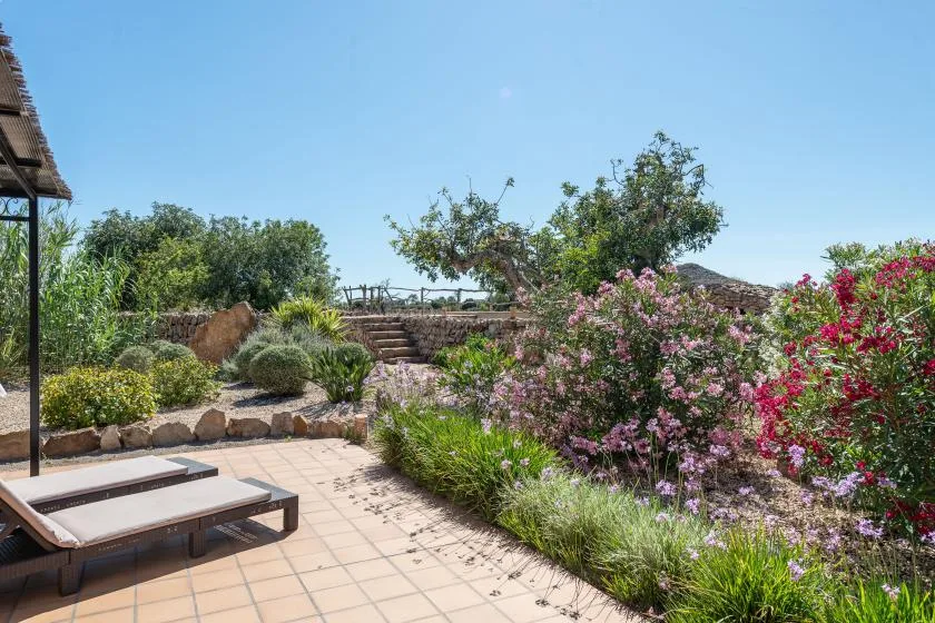 Un patio soleado al aire libre con asientos junto a arbustos floridos y árboles.