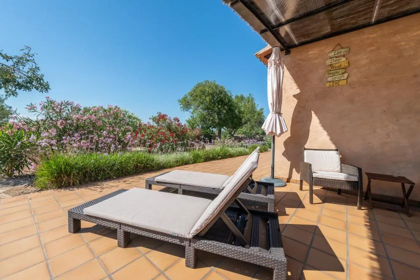 Un patio soleado con tumbonas reclinables, asientos al aire libre y arbustos en flor.