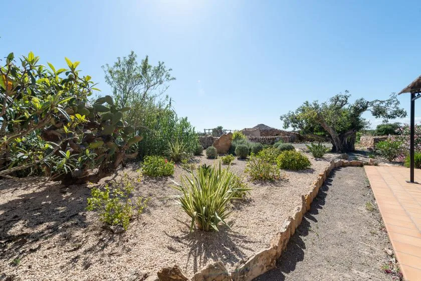 Un jardín con arbustos y un camino pavimentado bajo un cielo despejado.