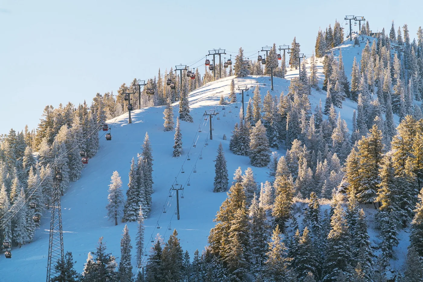 A snowy ski slope runs through a forest, with ski lifts crossing the hillside.