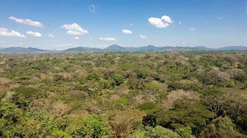Chic 3BR Private Terrace & Nature Views