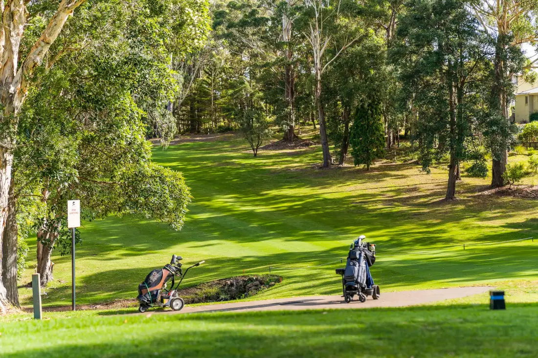 A grassy park with scattered trees and a paved path.