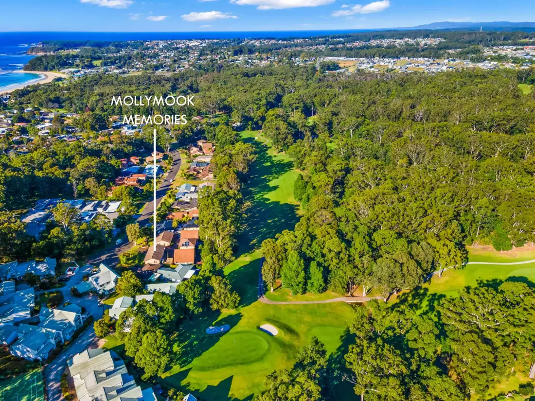 Aerial view of a coastal neighborhood bordered by dense trees and open green space.