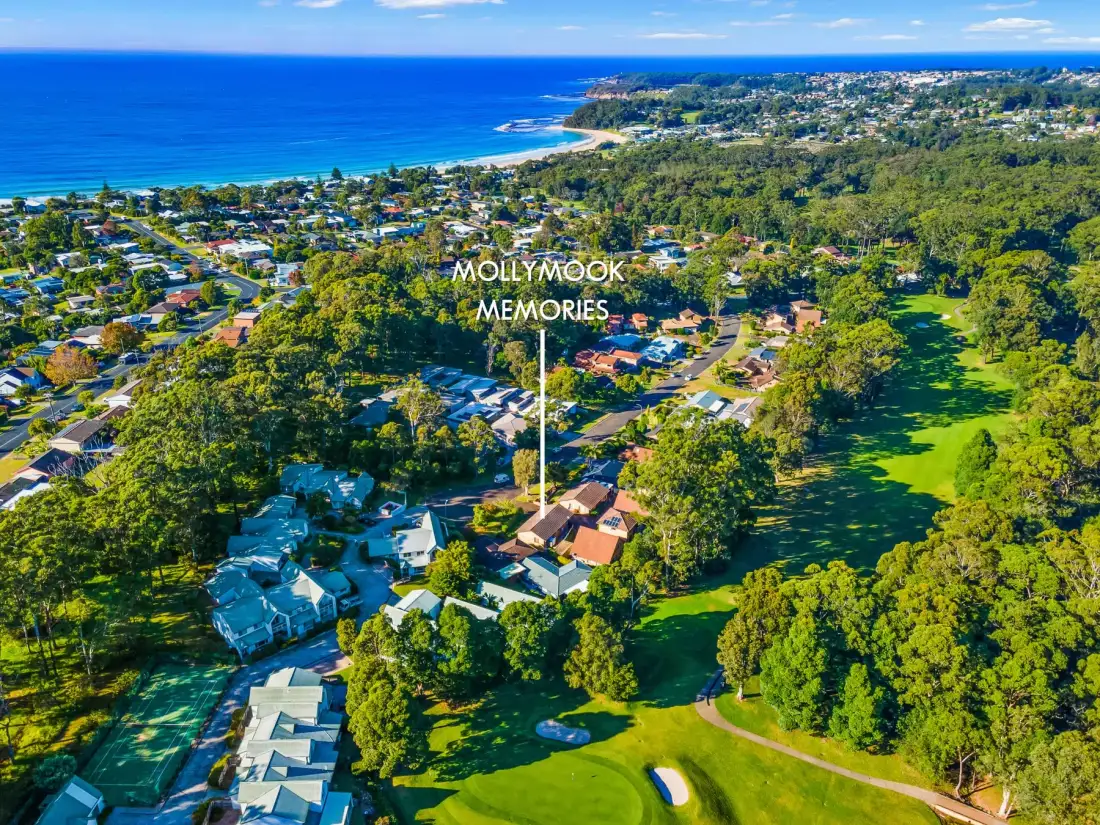 Aerial view of a coastal neighborhood beside a green park and the ocean.