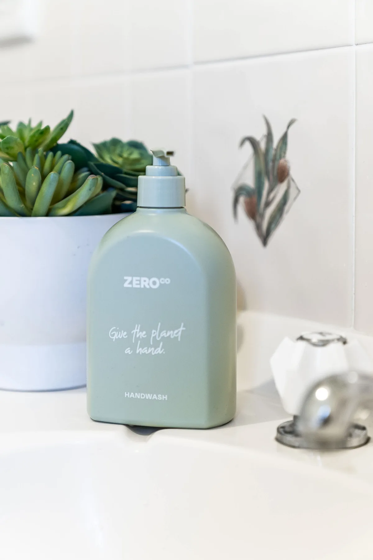 A bathroom sink with a handwash bottle and a potted succulent.