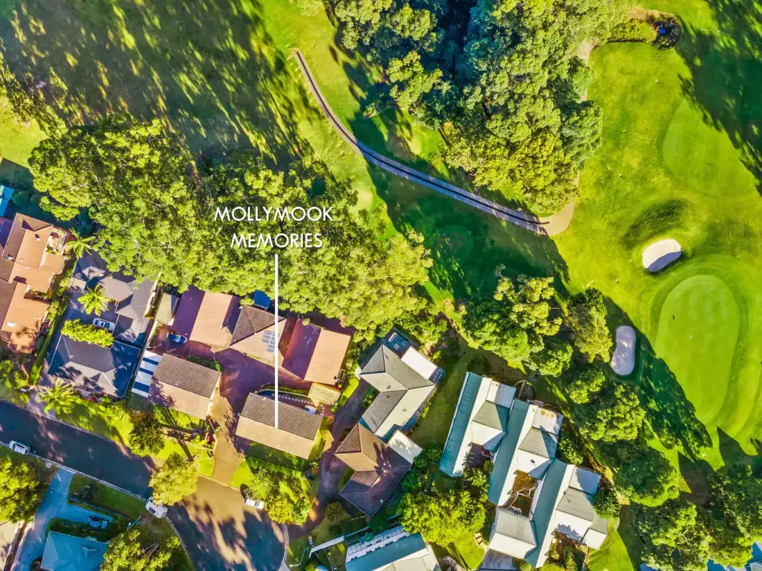 Aerial view of houses beside a broad green lawn and tree-lined path.