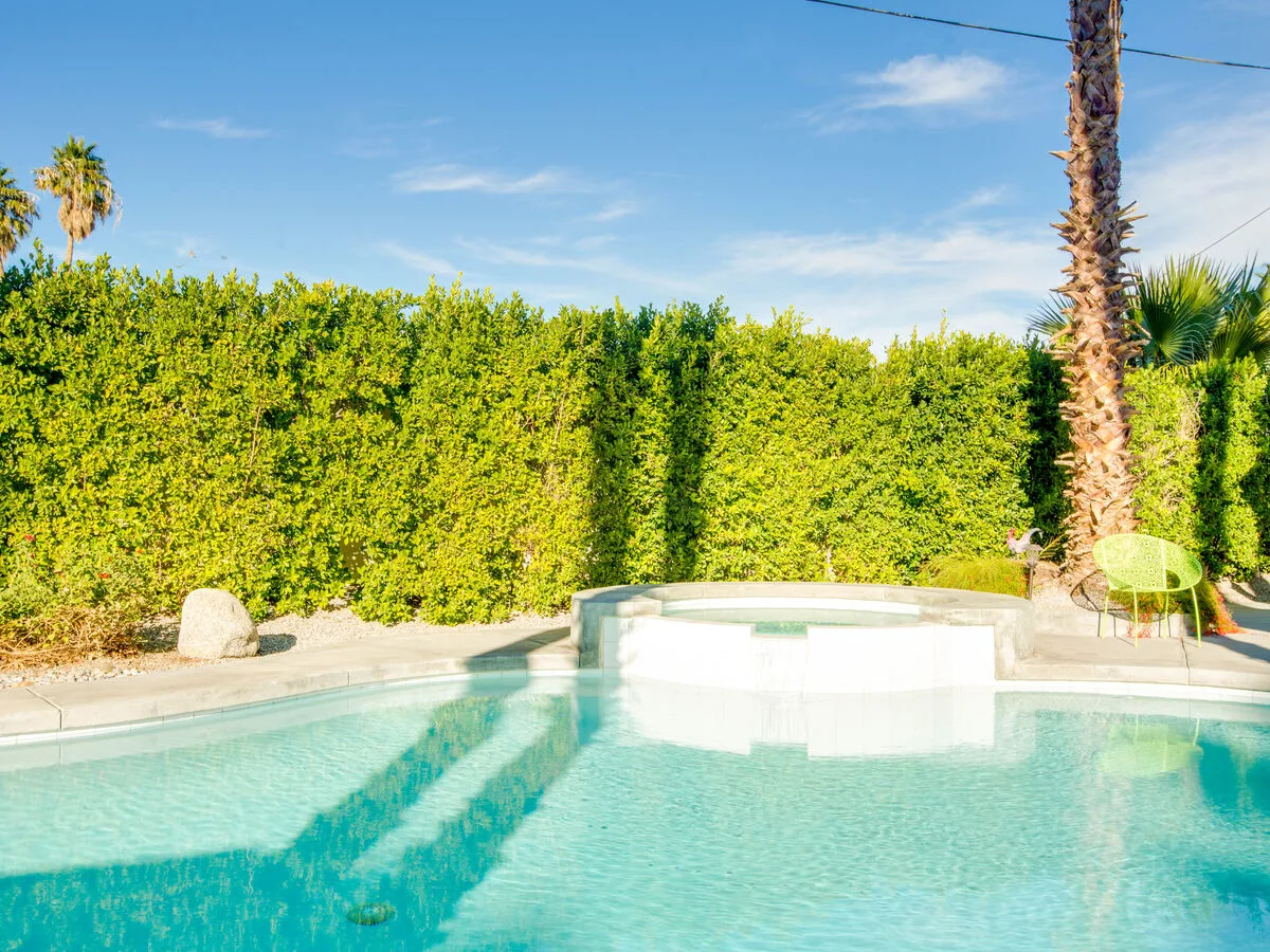 Under the Palms