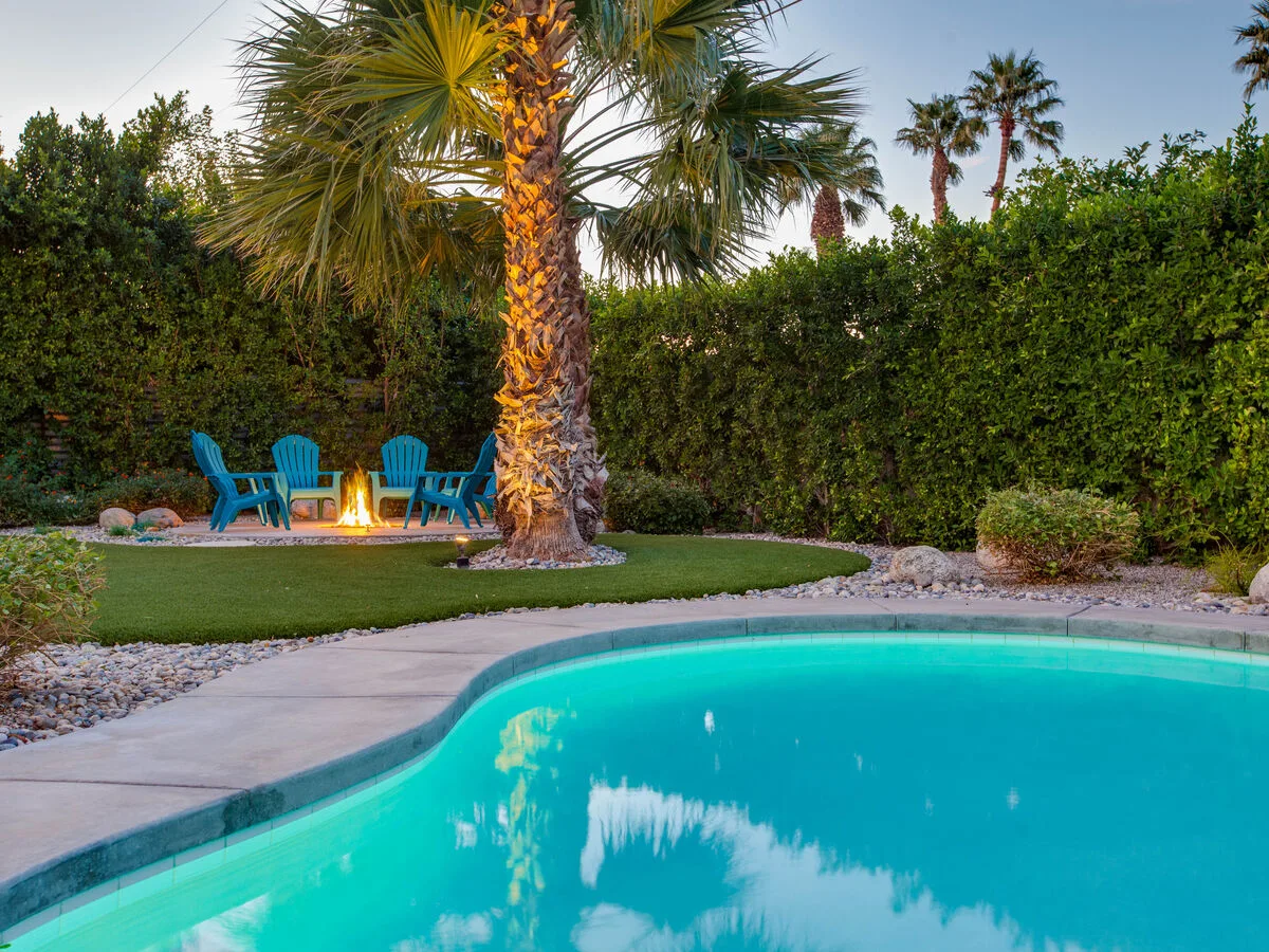 Under the Palms