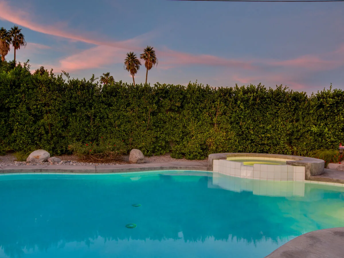 Under the Palms