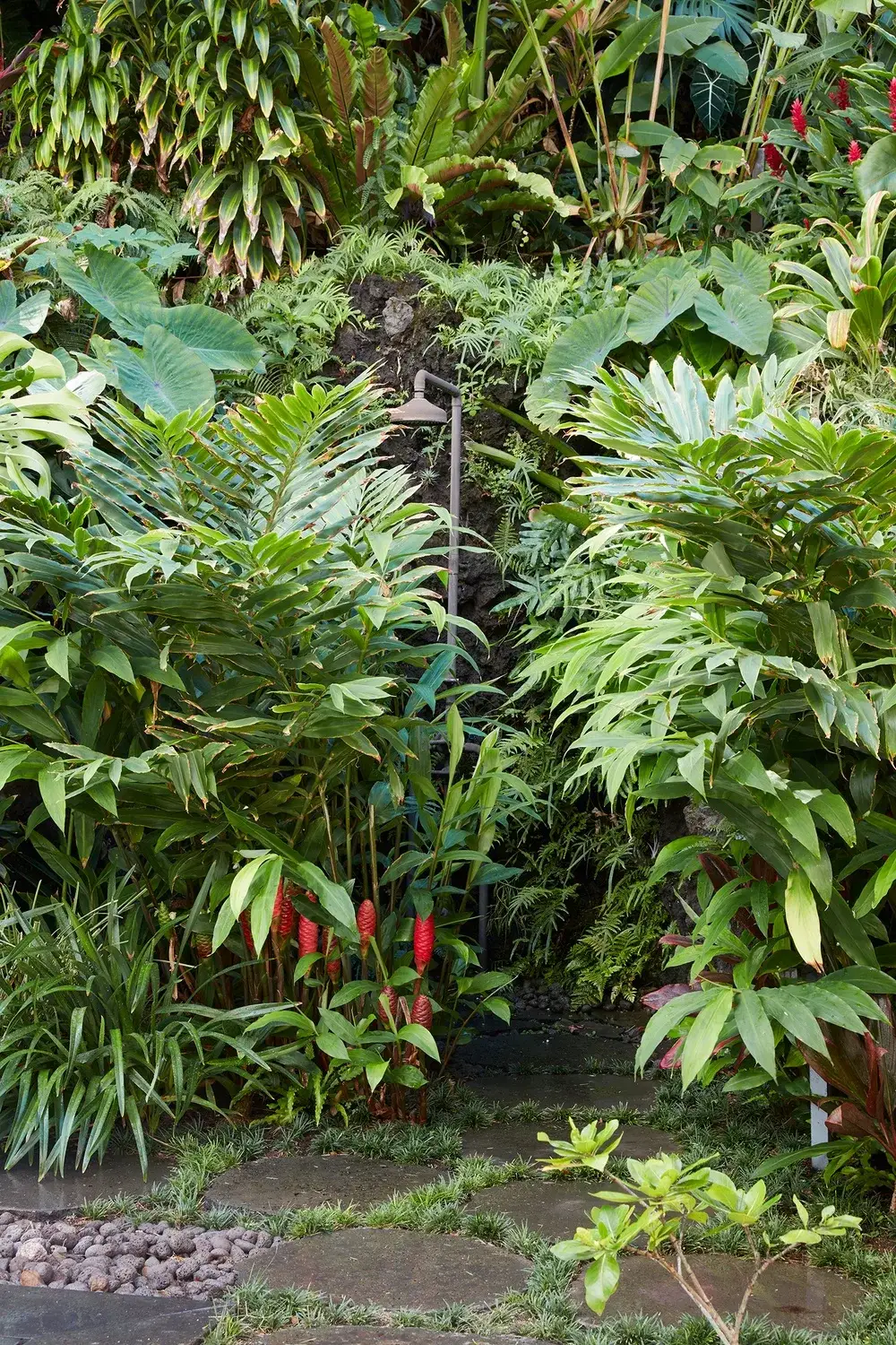 A lush tropical garden with dense foliage surrounding a stone path.