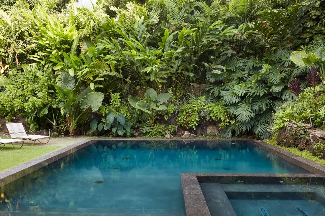 Una piscina al aire libre rodeada de abundante vegetación tropical.
