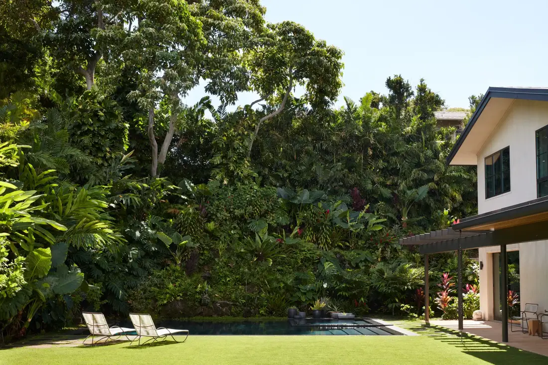 A garden lawn bordered by dense greenery beside a modern house.