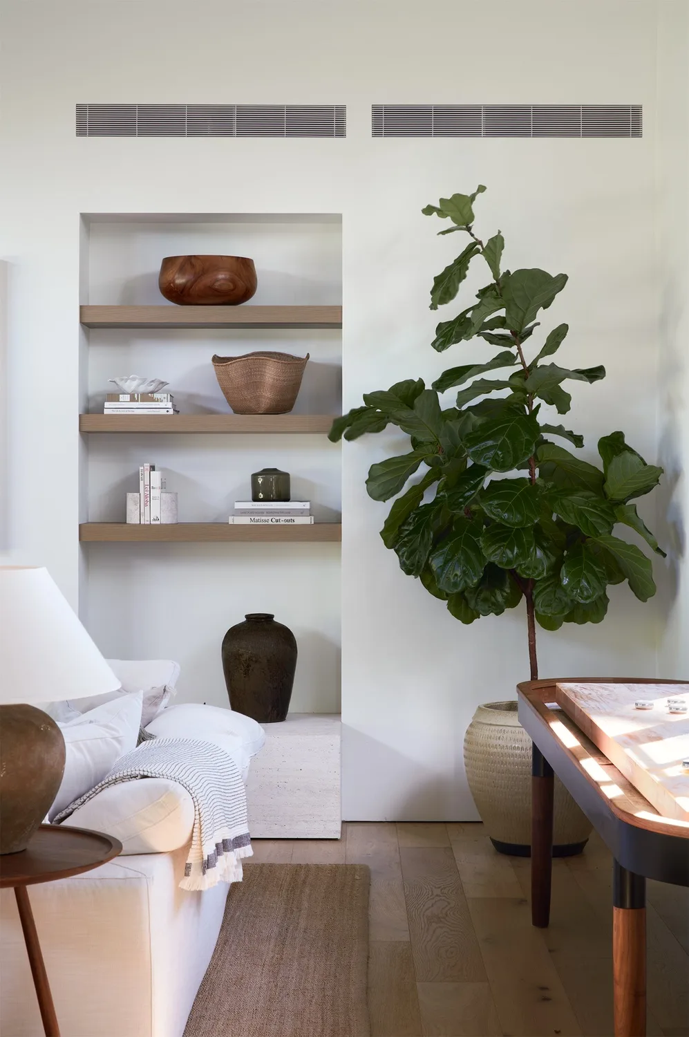A bright living room with built-in shelves and a large leafy plant.
