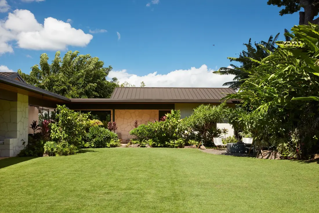 A landscaped garden lawn sits in front of a low house surrounded by tropical plants.