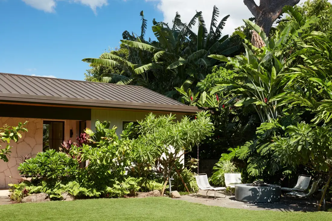 A low building sits amid dense tropical greenery, with chairs beside the lawn.