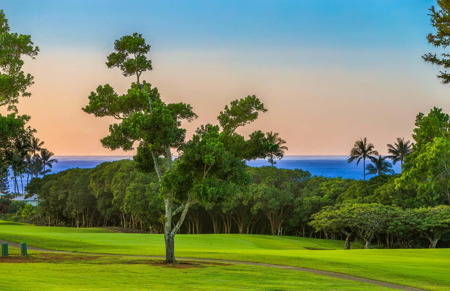 Un campo de golf verde bordeado de árboles, con el océano visible a lo lejos.